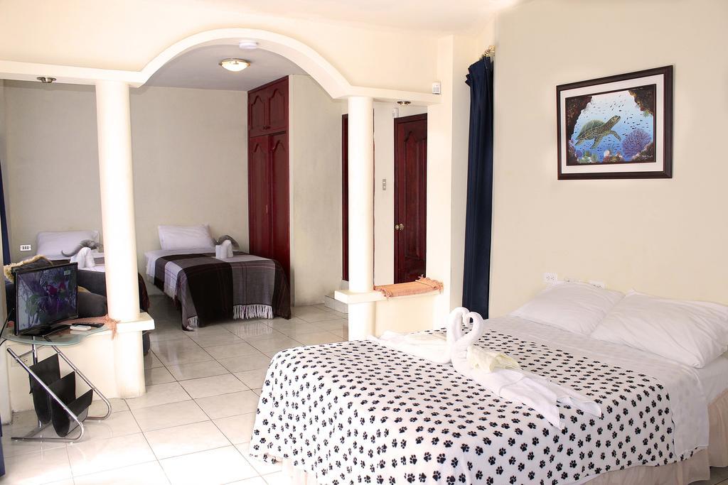 Planet House Hotell Puerto Ayora  Rum bild